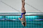 Swimming & Diving vs Babson  Swimming & Diving vs Babson College. - Photo by Keith Nordstrom : Wheaton, Swimming